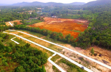 Thủ tục cấp chứng chỉ hành nghề môi giới bất động sản 13 chuyen muc dich su dung dat