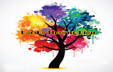 Thủ tục đăng ký bảo hộ thương hiệu 19 005