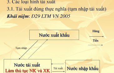 Thủ tục xin cấp giấy phép kinh doanh tạm nhập, tái xuất 17 3.1.Taixuatdungthucnghiatamnhaptaixuat