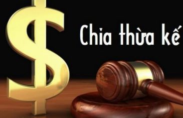 Quyền thừa kế theo pháp luật, thừa kế theo di chúc và một số vấn đề pháp lý liên quan 23 Chia thua ke 2607153446