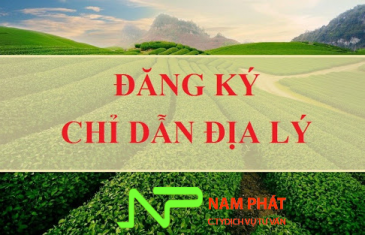Thủ tục đăng ký chỉ dẫn địa lý tại Việt Nam 17 logo