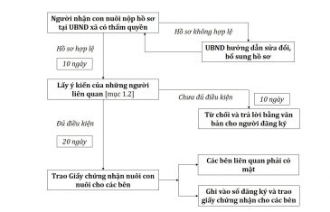 Trình tự thủ tục nhận nuôi con nuôi trong nước tại Việt Nam 16 thu tuc dang ky nhan con nuoi trong nuoc 4
