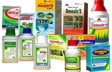 Thủ tục xin cấp giấy phép nhập khẩu thuốc bảo vệ thực vật 15 thuoc bvtv