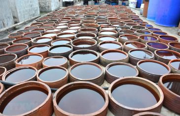 DỊCH VỤ CÔNG BỐ TIÊU CHUẨN CHẤT LƯỢNG NƯỚC MẮM 20 cong bo nuoc mam