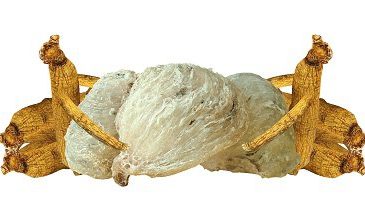 DỊCH VỤ CÔNG BỐ TIÊU CHUẨN CHẤT LƯỢNG YẾN SÀO 13 cong bo yeu sao